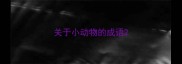关于小动物的成语