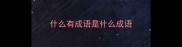 什么有成语是什么成语