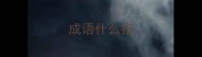 成语什么指