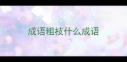 成语粗枝什么成语
