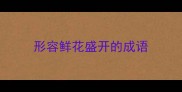形容鲜花盛开的成语