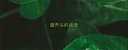 瘦开头的成语