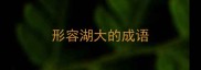 形容湖大的成语