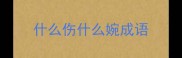 什么伤什么婉成语