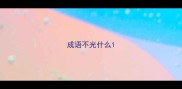 成语不光什么