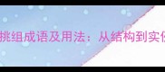 10个最常用的挑组成语及用法从结构到实例的完整指南