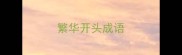 繁华开头成语