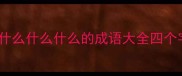 大什么什么什么的成语大全四个字