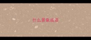 什么景象成语