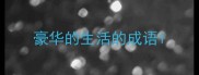 豪华的生活的成语