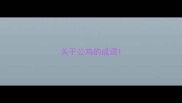 关于公鸡的成语