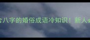 结婚成语推荐8个含八字的婚俗成语冷知识新人必看婚庆必备清单