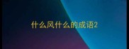 什么风什么的成语