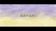 成语什么半