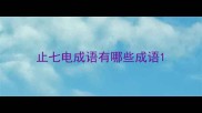 止七电成语有哪些成语
