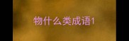 物什么类成语