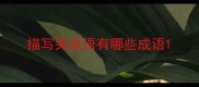 描写哭成语有哪些成语