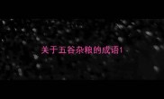 关于五谷杂粮的成语