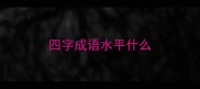 四字成语水平什么