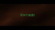 写30个成语