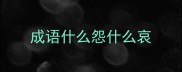 成语什么怨什么哀