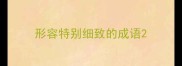 形容特别细致的成语