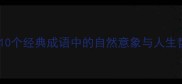 雪霜并济10个经典成语中的自然意象与人生哲理附
