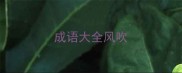成语大全风吹