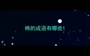 棉的成语有哪些