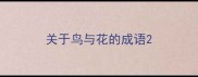 关于鸟与花的成语