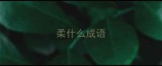 柔什么成语
