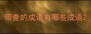 带查的成语有哪些成语