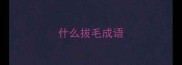 什么拔毛成语