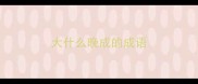 大什么晚成的成语