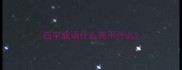 四字成语什么而不什么