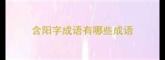 含阳字成语有哪些成语