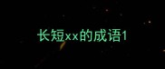 长短xx的成语