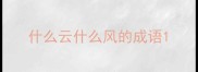什么云什么风的成语