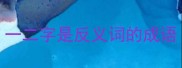 一二字是反义词的成语