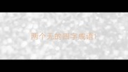 两个无的四字成语