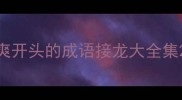 爽开头的成语接龙大全集
