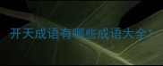开天成语有哪些成语大全