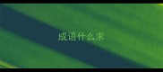 成语什么求