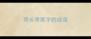 带头带尾字的成语