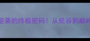 苦尽甘来人生逆袭的终极密码从低谷到巅峰的5个必胜法则
