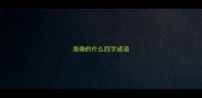准确的什么四字成语