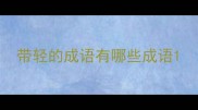 带轻的成语有哪些成语