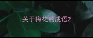 关于梅花的成语