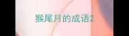 猴尾月的成语