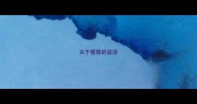 关于猩猩的成语
